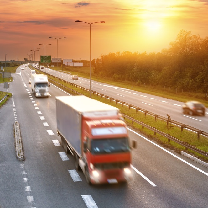 Professional logistics fleet and delivery coordination illustration